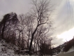 FILE2451