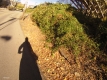FILE7825